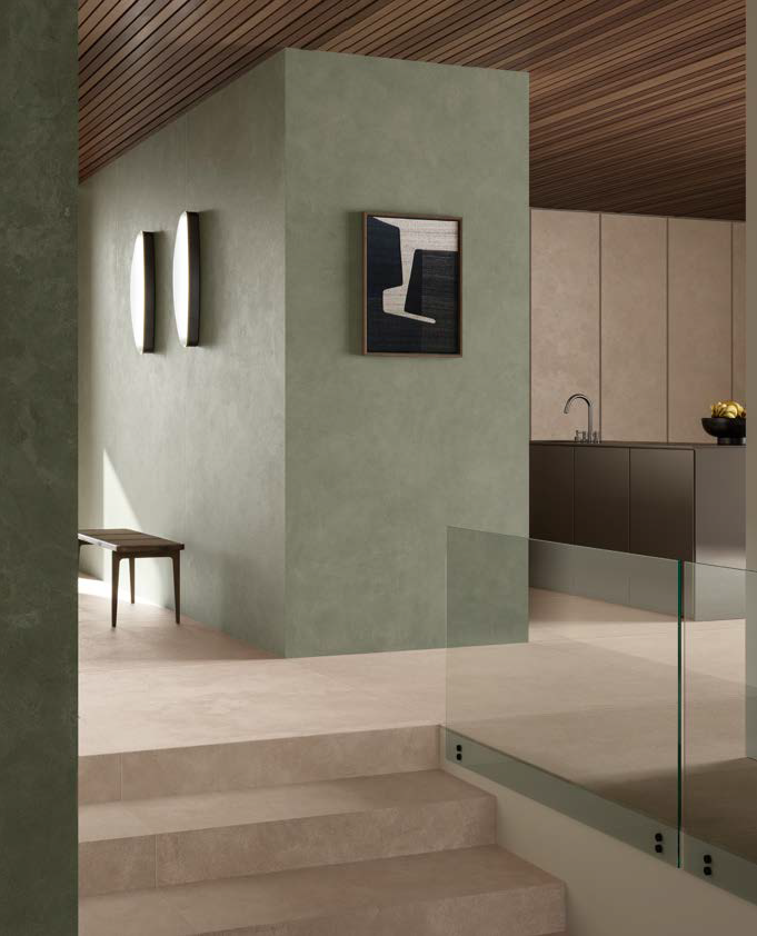 Основной Вид