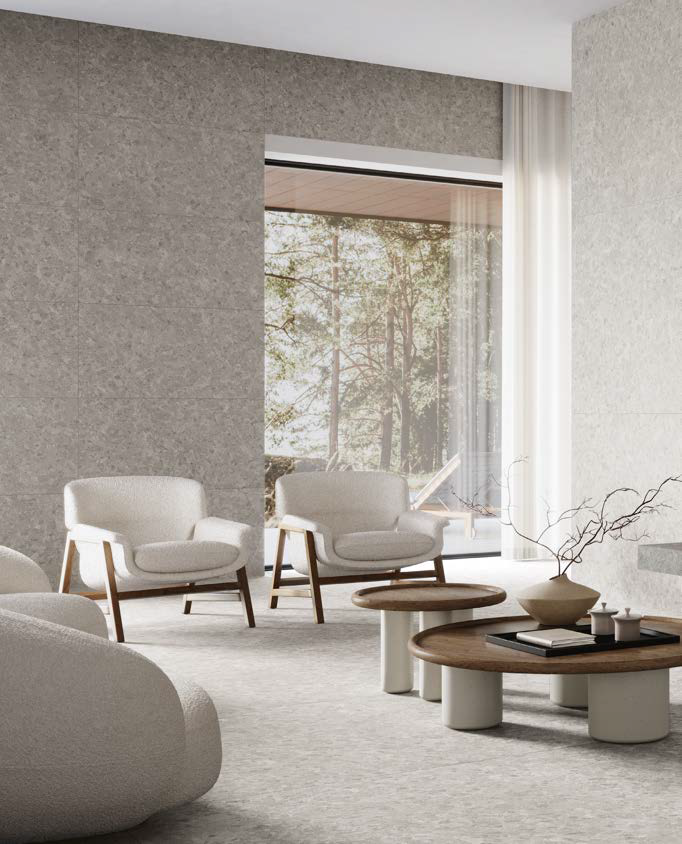 Основной Вид